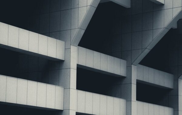 pexels-jimbear-1337285